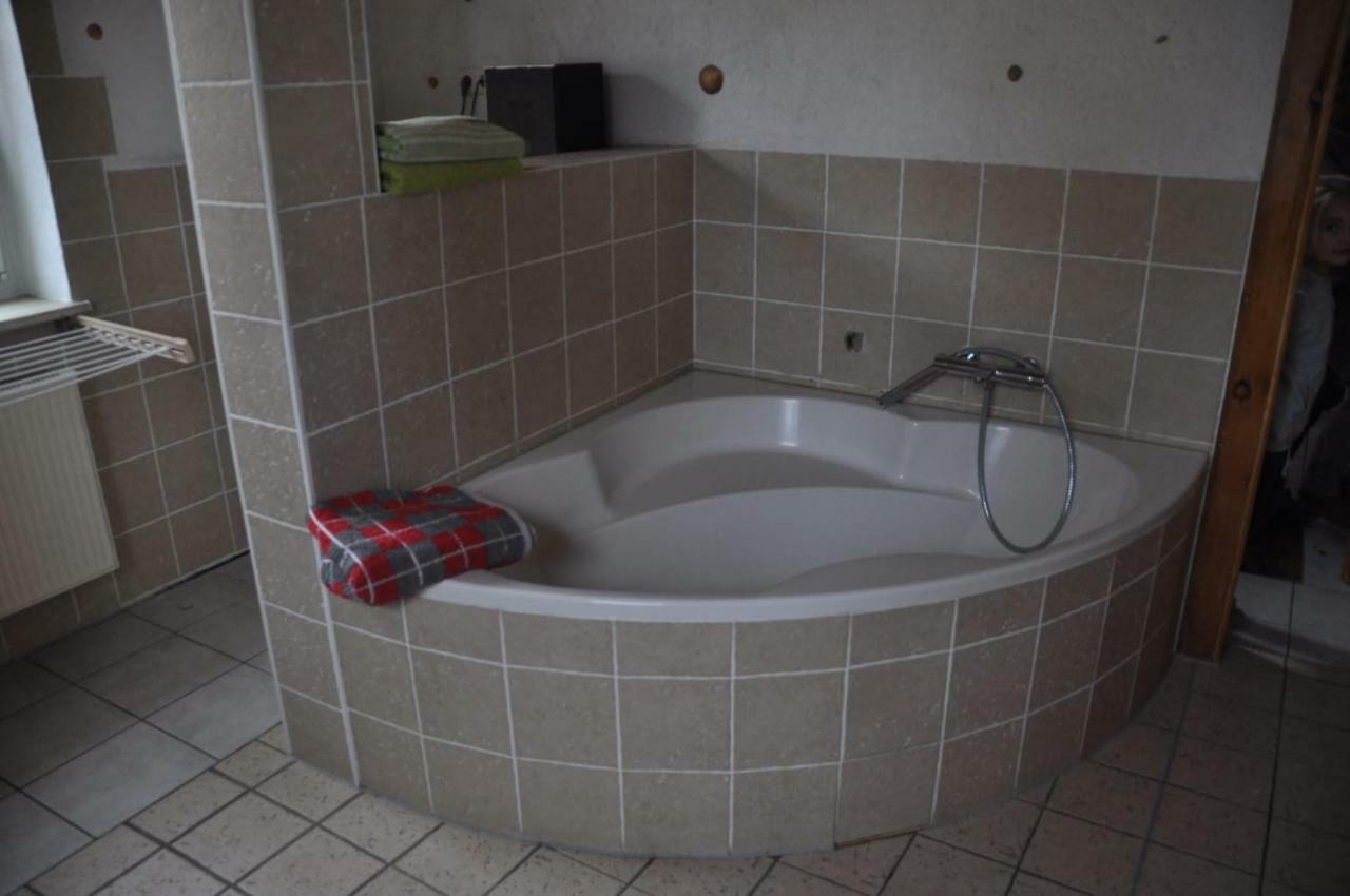 Ferienwohnung Am Park Pegau エクステリア 写真